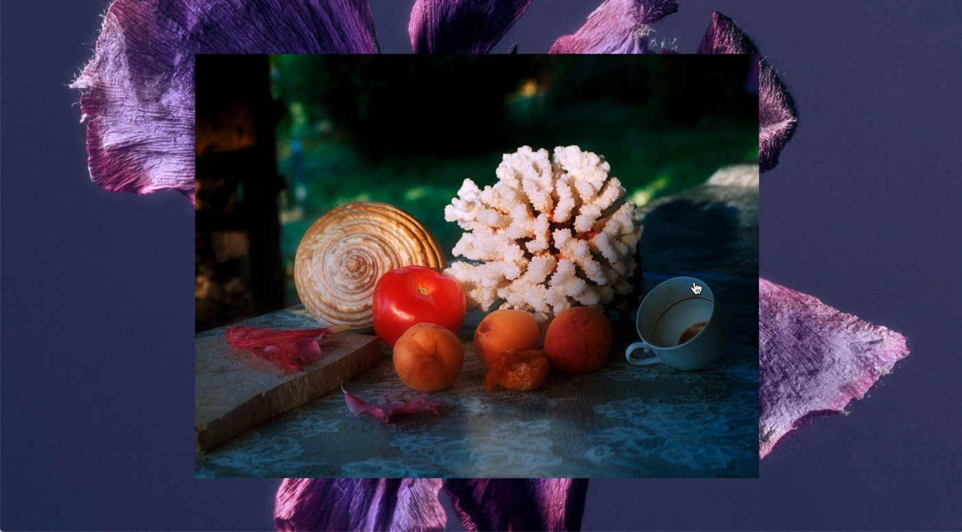 Hover States / Jacques Brun